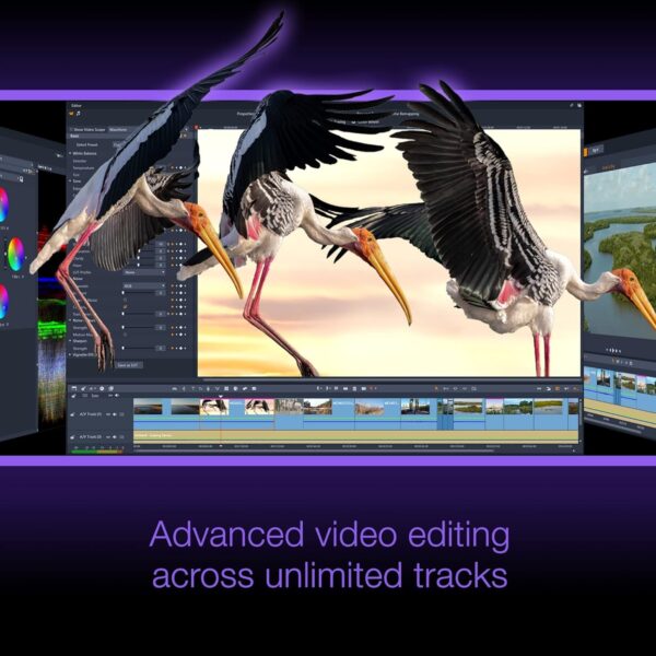 Pinnacle Studio 26 | Video Editing Software | Advanced pro-level video editor | Perpetual | Ultimate | 1 Device | 1 User | PC | Code [Delivery] - Image 2