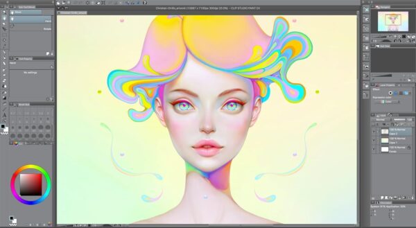 CLIP STUDIO PAINT PRO - Version 1 - Perpetual License - for Microsoft Windows and MacOS - Image 4